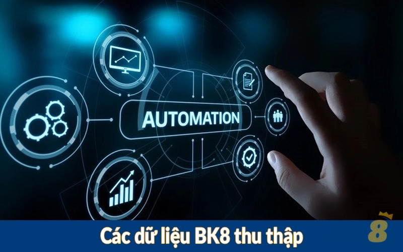 Các dữ liệu BK8 thu thập